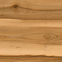 Topalit (Австрия) Линия "Дерево" 0250_Alpinemaple - фото Topalit (Австрия) Линия "Дерево" 0250_Alpinemaple